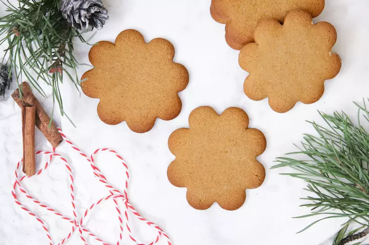 Gluteeniton piparkakku - GLUTEENITTOMAT TUOTTEET - 8079 - 1